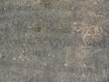 image of grave number 48957